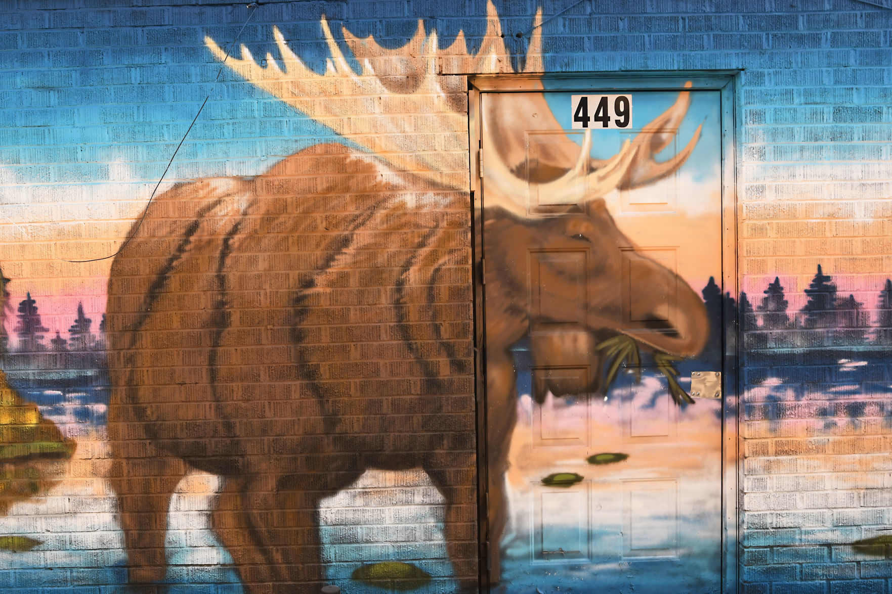 Moose on the Loose